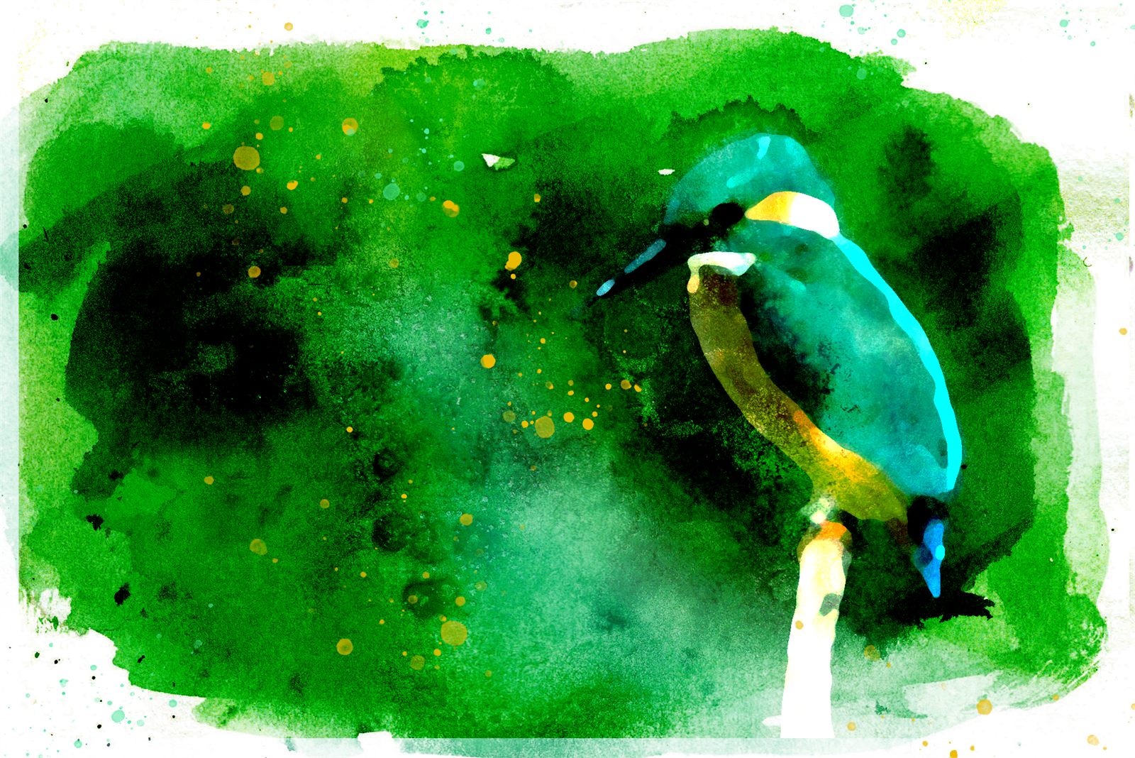 Watercolour painting effect applied to a photograph of a kingfisher